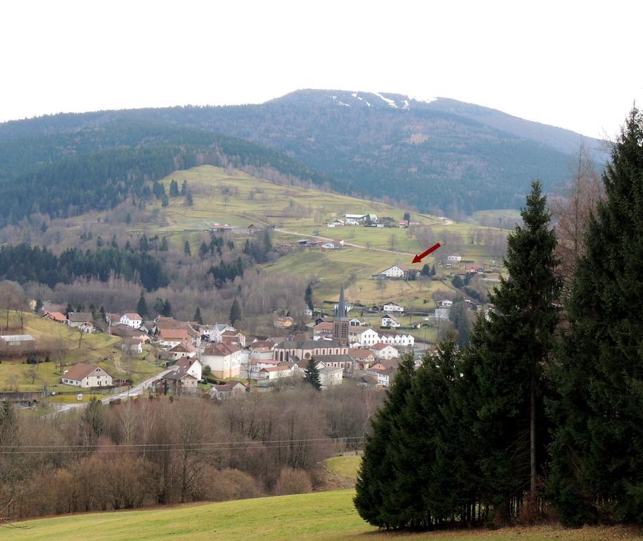 Les Hauts De Brochot سانت موريس سور موسيل الغرفة الصورة